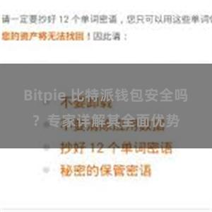 Bitpie 比特派钱包安全吗？专家详解其全面优势