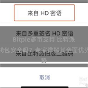 Bitpie多币支持 比特派钱包安全吗？专家详解其全面优势