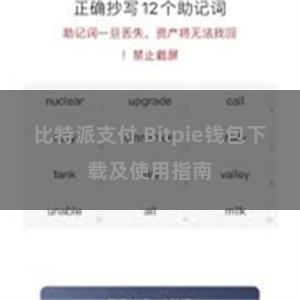 比特派支付 Bitpie钱包下载及使用指南