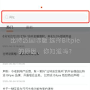 比特派国际版 选择Bitpie的原因，你知道吗？