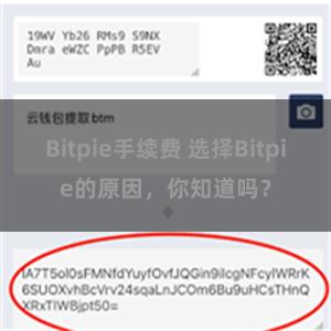 Bitpie手续费 选择Bitpie的原因，你知道吗？