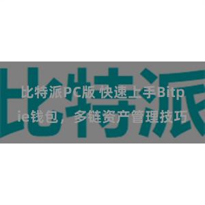 比特派PC版 快速上手Bitpie钱包，多链资产管理技巧