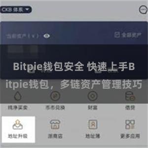 Bitpie钱包安全 快速上手Bitpie钱包，多链资产管理技巧