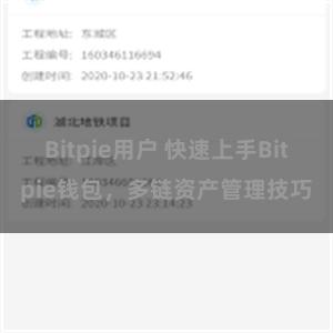 Bitpie用户 快速上手Bitpie钱包，多链资产管理技巧