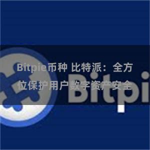 Bitpie币种 比特派：全方位保护用户数字资产安全