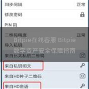 Bitpie在线客服 Bitpie数字资产安全保障指南