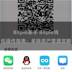 Bitpie新手 Bitpie钱包操作指南：多链资产管理攻略