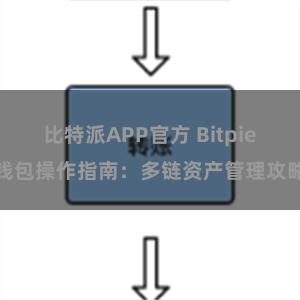 比特派APP官方 Bitpie钱包操作指南：多链资产管理攻略