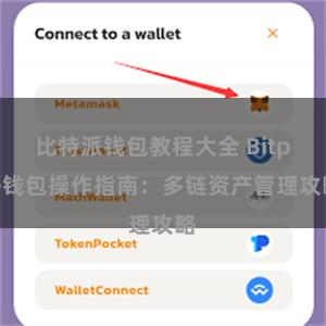 比特派钱包教程大全 Bitpie钱包操作指南：多链资产管理攻略