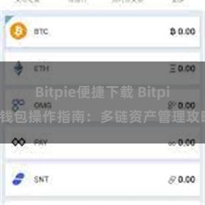 Bitpie便捷下载 Bitpie钱包操作指南：多链资产管理攻略