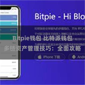 Bitpie钱包 比特派钱包多链资产管理技巧：全面攻略