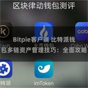 Bitpie客户端 比特派钱包多链资产管理技巧：全面攻略