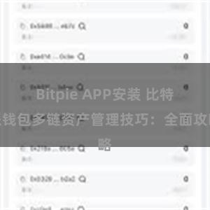 Bitpie APP安装 比特派钱包多链资产管理技巧：全面攻略