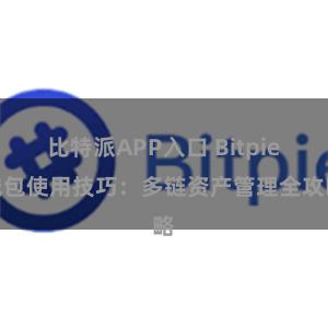 比特派APP入口 Bitpie钱包使用技巧：多链资产管理全攻略