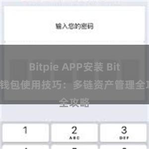 Bitpie APP安装 Bitpie钱包使用技巧：多链资产管理全攻略