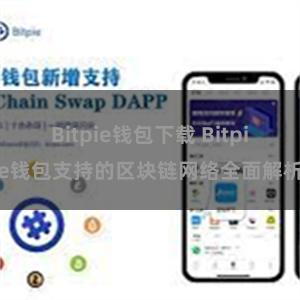 Bitpie钱包下载 Bitpie钱包支持的区块链网络全面解析