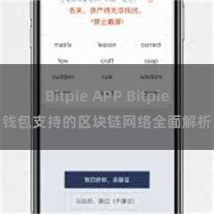 Bitpie APP Bitpie钱包支持的区块链网络全面解析