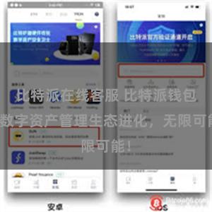 比特派在线客服 比特派钱包：数字资产管理生态进化，无限可能！
