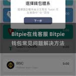 Bitpie在线客服 Bitpie钱包常见问题解决方法