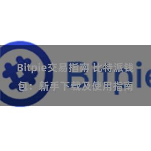 Bitpie交易指南 比特派钱包：新手下载及使用指南