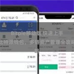 Bitpie移动版 快速上手比特派钱包，多链资产管理全攻略