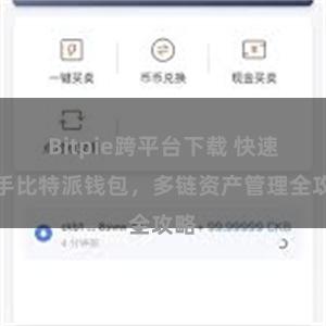 Bitpie跨平台下载 快速上手比特派钱包，多链资产管理全攻略