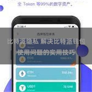 比特派隐私 解决比特派钱包使用问题的实用技巧