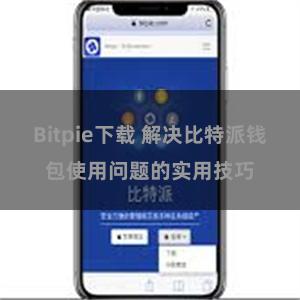 Bitpie下载 解决比特派钱包使用问题的实用技巧