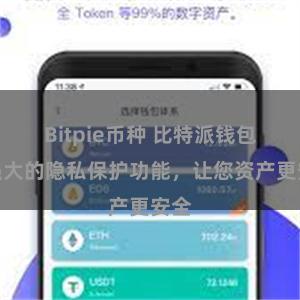 Bitpie币种 比特派钱包：强大的隐私保护功能，让您资产更安全