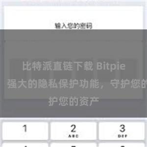 比特派直链下载 Bitpie钱包：强大的隐私保护功能，守护您的资产