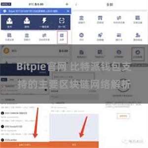 Bitpie官网 比特派钱包支持的主要区块链网络解析