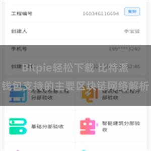 Bitpie轻松下载 比特派钱包支持的主要区块链网络解析