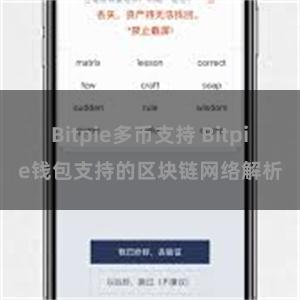 Bitpie多币支持 Bitpie钱包支持的区块链网络解析