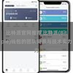 比特派官网推荐 比特派(Bitpie)钱包的团队背景与技术实力