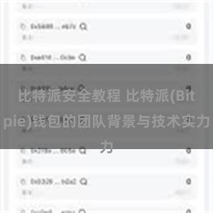 比特派安全教程 比特派(Bitpie)钱包的团队背景与技术实力