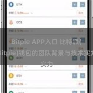 Bitpie APP入口 比特派(Bitpie)钱包的团队背景与技术实力