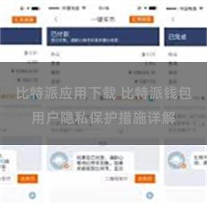 比特派应用下载 比特派钱包用户隐私保护措施详解