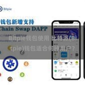 Bitpie钱包使用 比特派(Bitpie)钱包适合何种用户？