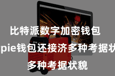 比特派数字加密钱包  Bitpie钱包还接济多种考据状貌