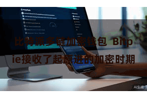 比特派多链加密钱包  Bitpie接收了起原进的加密时期