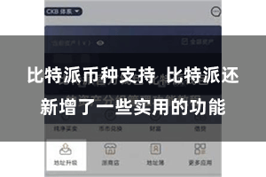 比特派币种支持  比特派还新增了一些实用的功能