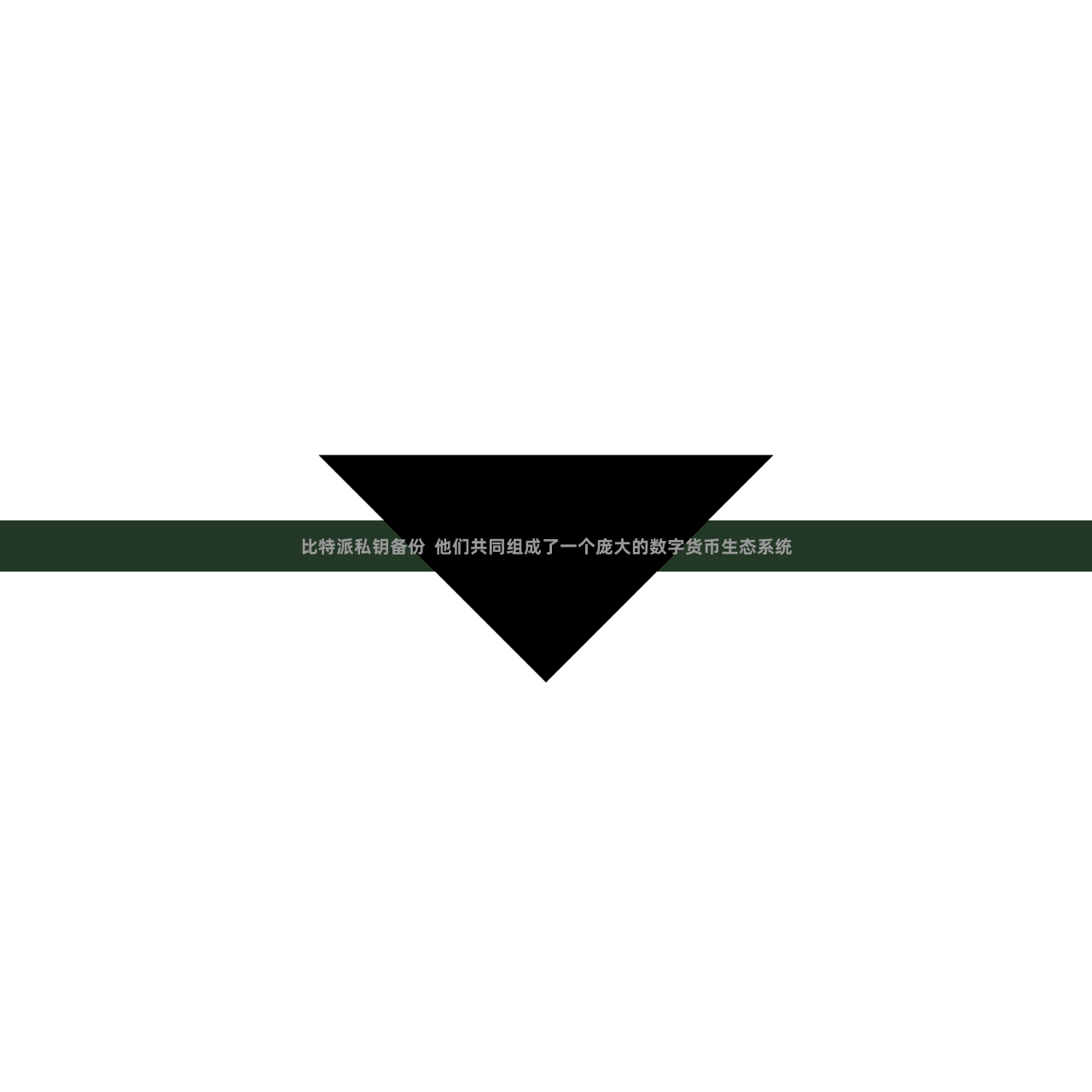 比特派私钥备份  他们共同组成了一个庞大的数字货币生态系统