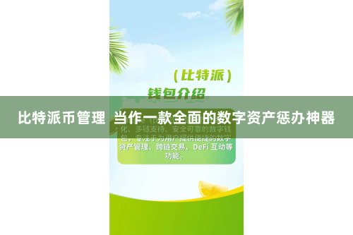比特派币管理  当作一款全面的数字资产惩办神器