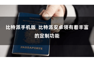 比特派手机版  比特派安卓领有着丰富的定制功能